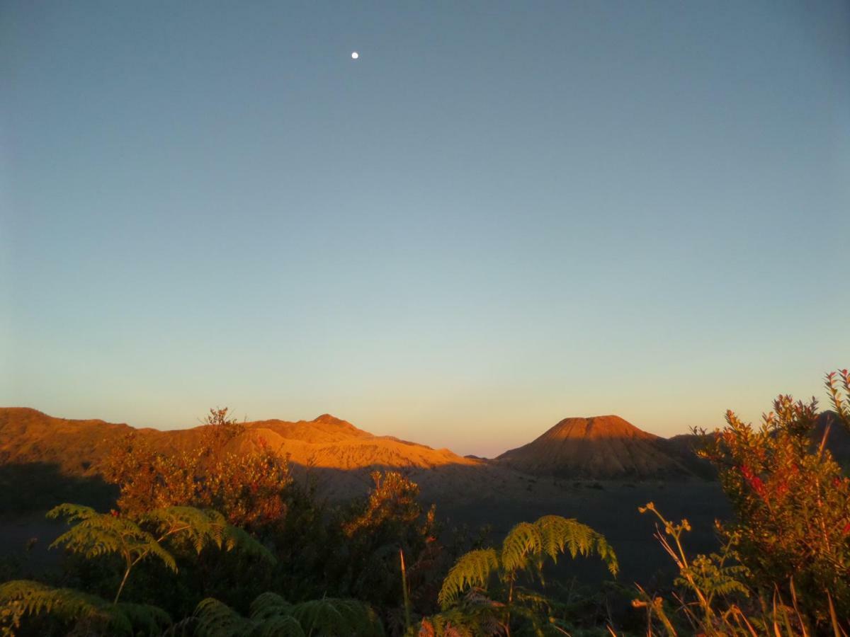 Tengger Indah Homestay โบรโม ภายนอก รูปภาพ